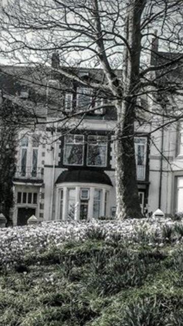 Seacrest Guest House South Shields Exterior photo